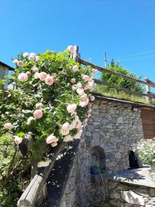 Roccaforte MondovìにあるAffittacamere La Leaのピンクのバラが生える石造りの建物