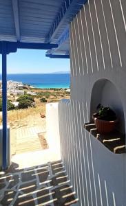 Una pared con una planta en una olla. en Evilion Donoussa Studios, en Donoussa