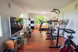 a gym with several tread machines and a flat screen tv at Villa avec vue et piscine à moins d'1h de Paris in Rolleboise