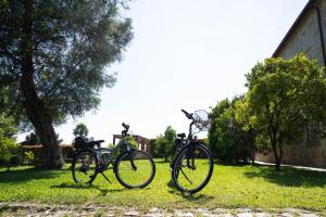 zwei Fahrräder, die im Gras neben einem Gebäude geparkt sind in der Unterkunft Casa Lata - Agroturismo e Enoturismo in Amares