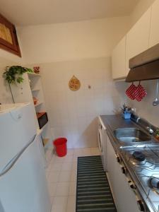Little Emerald House في مارينا دي بورتيسكو: مطبخ صغير مع حوض وموقد