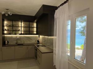 a kitchen with a sink and a large window at Villa Slatine apartment in Slatine