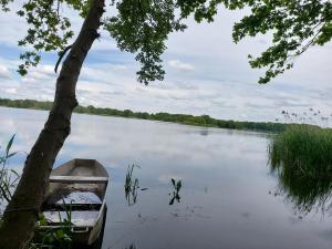 łódź siedząca obok drzewa na jeziorze w obiekcie Pensjonat i Restauracja Hubertówka w mieście Milicz