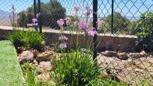Zahrada ubytování Rancho Blanco Tarifa La peña