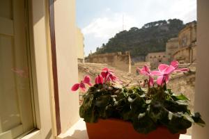 a pot of pink flowers sitting on a window sill at Chocolate house in Modica