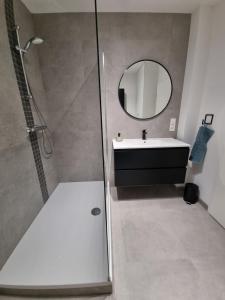 a bathroom with a shower and a sink and a mirror at Appartement cosy et familial avec terrasse in Theux