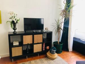 a living room with a television and two plants at Casa do Mocho II in Lisbon