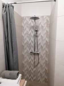 Koupelna v ubytování Werner Apartman