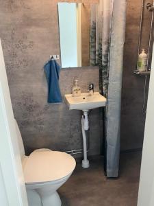 a bathroom with a sink and a toilet and a mirror at Gefle vandrarhem in Gävle