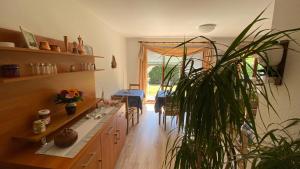 a kitchen with a potted plant and a table and chairs at Hotel Pension Brilke Negast in Steinhagen +5 photos