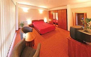 a hotel room with a bed and a television at HOTEL PHILOXENIA in Eforie Nord