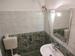 a bathroom with a toilet and a sink and a mirror at Zlatevi Guest House in Obzor +37 photos