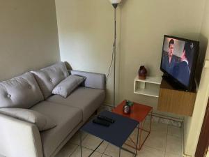 a living room with a couch and a flat screen tv at Bas de villa couleuvre in Deshaies