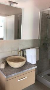 a bathroom with a bowl sink and a shower at La Foresteria in Galşa