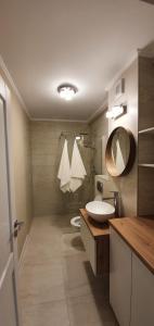 uma casa de banho com um lavatório e um espelho em Hara House em Cluj-Napoca