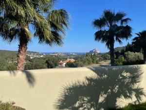 a wall with palm trees and mountains in the background at Villa Riu Blanc in Benissa