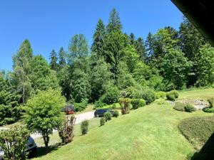 Galeriebild der Unterkunft Apartment zum Wohlfühlen mitten im Grünen in Lindberg + 12 Fotos