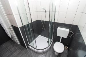ZatonにあるApartment Magdalenaのトイレとガラスのシャワー付きのバスルーム +25枚の写真