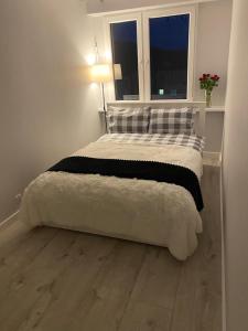 Postel nebo postele na pokoji v ubytování Apartament Bieszczadzkie Marzenie, Netflix