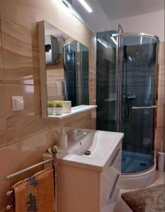 Ένα μπάνιο στο Apartman Sous les rochers +32 φωτογραφίες