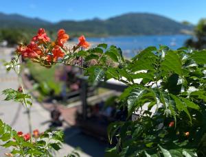 een bos met rode bloemen en uitzicht op het water bij Regina e Oriente - La casa del Moro in Baveno
