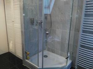 a shower with a glass door in a bathroom at Am Seehof in Sierksdorf +11 photos