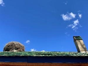 Fotografie z fotogalerie ubytování Gîte Camping Amazigh v destinaci Azrou
