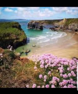 un dipinto di una spiaggia con fiori rosa di 20 Holiday Cottage, East End Ballybunion a Ballybunion