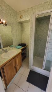 uma casa de banho com um lavatório e um chuveiro com um espelho. em Studio Heart of Golfe Juan em Golfe-Juan