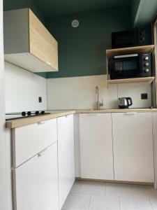 Kuchnia lub aneks kuchenny w obiekcie RoofTop Apartement - Quartier Croisette - Esc'Appart