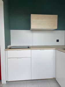 Kuchnia lub aneks kuchenny w obiekcie RoofTop Apartement - Quartier Croisette - Esc'Appart
