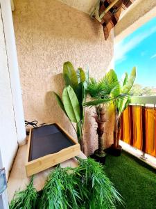 a box sitting on a balcony with plants at Appartement climatisé design au cœur de St-Aygulf à 200 metres la mer in Saint-Aygulf