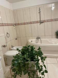 Gallery image of Riviera Apartment in Constanţa +8 photos