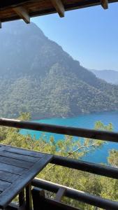 Gallery image of Kabak Ütopya Kamp in Faralya