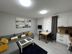 伏爾塔瓦河畔利普諾的住宿－Apartment RIVIERA Lipno 511，客厅配有沙发和桌子