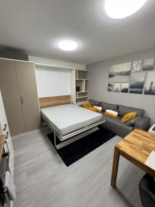 伏爾塔瓦河畔利普諾的住宿－Apartment RIVIERA Lipno 511，客厅配有床和沙发
