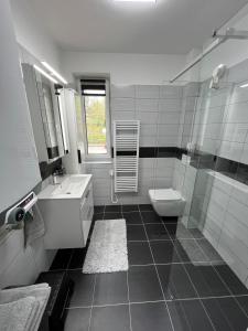 伏爾塔瓦河畔利普諾的住宿－Apartment RIVIERA Lipno 511，一间带水槽和卫生间的浴室
