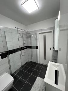 伏爾塔瓦河畔利普諾的住宿－Apartment RIVIERA Lipno 511，带淋浴、卫生间和盥洗盆的浴室