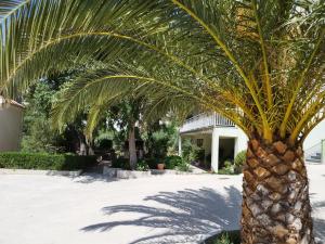 Fotografie z fotogalerie ubytování Family Beroš Friendly Place v Krvavici