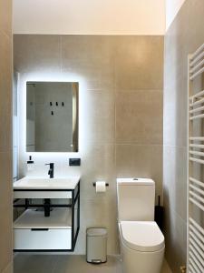 a bathroom with a toilet and a sink and a mirror at La Dama del Porto in Laveno-Mombello