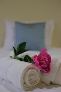 une fleur rose assise sur une serviette dans l'établissement Old Friends Guesthouse, à Gyumri