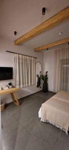 Gallery image of ANDROMEDA in Kalymnos