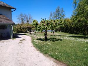 a dirt road next to a house with a tree at Au petit gravelot in Aulx-lès-Cromary