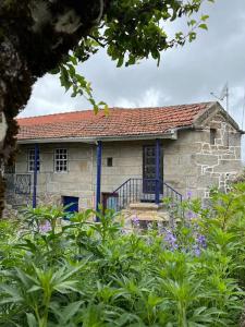 una casa de piedra con una puerta azul y algunas plantas en CASA DE CAMPO BENFEITO, en Campo Benfeito