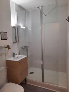un baño con ducha y lavabo en studio vue sur mer, en Le Barcarès