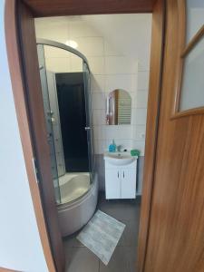 a bathroom with a shower and a sink at Pokoje Gościnne Alicja in Wicie
