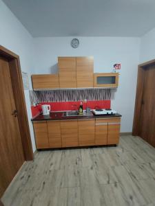 a kitchen with a sink and wooden cabinets at Pokoje Gościnne Alicja in Wicie