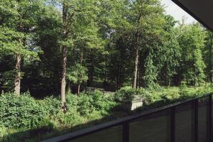 Vonkajšia záhrada v ubytovaní Nice River - MAZURIA APARTAMENTY