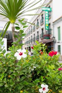 Gallery image of Hotel Reyesol in Fuengirola