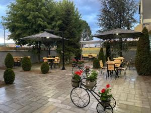 Zahrada ubytování Hotel EDEA